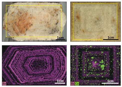 K-Feldspar megacrysts from NW Nevada (top) and micro-XRF elemental maps showing the distributions of Ba and Ca (bottom).