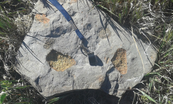 Spinel lherzolite xenolith in Miocene basalt – Southern CA