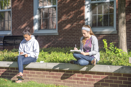 Students studying outside