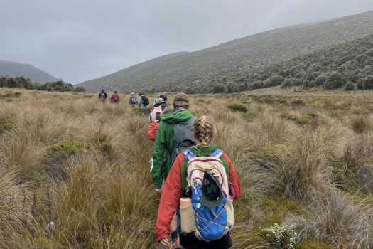 Students hike in single file over the hills in New Zealand