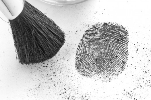 Examining the Science of Forensics