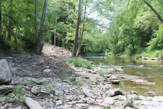 Big Walnut River
