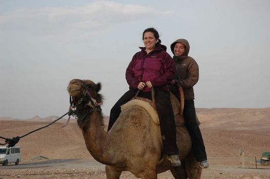 Riding Camels in the Judean Desert