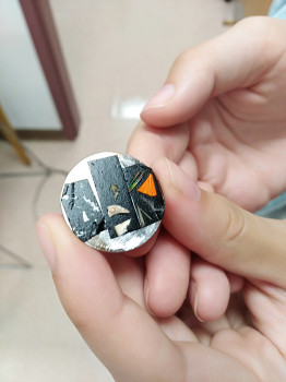 SEM sample