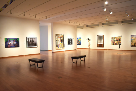 An overall view of some of the the objects in the lower gallery