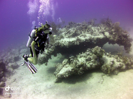 Student scuba diving in the sea