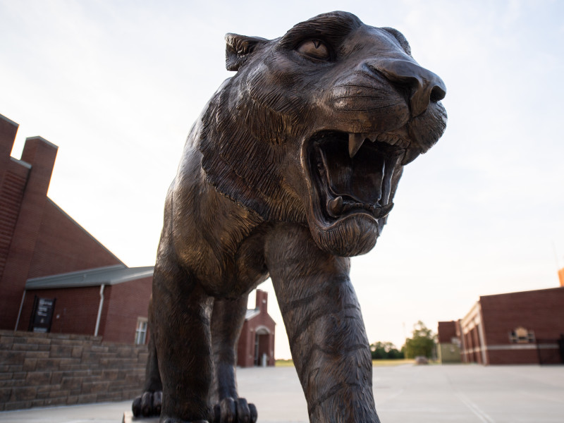 Tiger statue