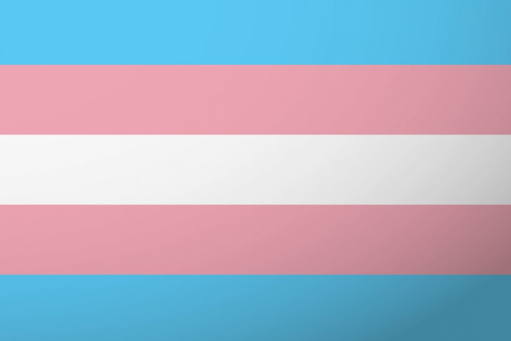 Trans Flag