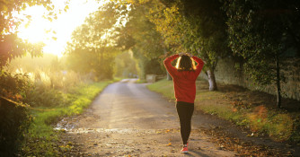 Person walking along a wooded path