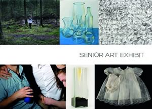Senior Art Exhibition cover art