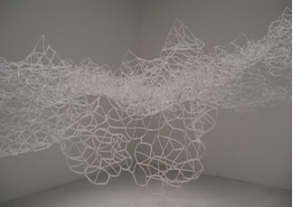 Alyson Shotz: Topologies exhibit cover art