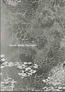 Cover art for 2007 Alyson Shotz: Topologies