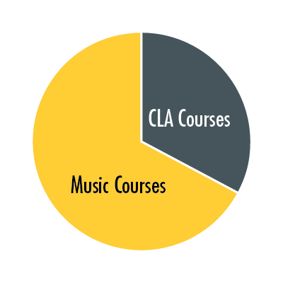 Chart of course distribution for BM degree