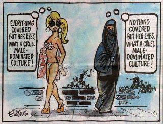 Cross cultural feminism cartoon