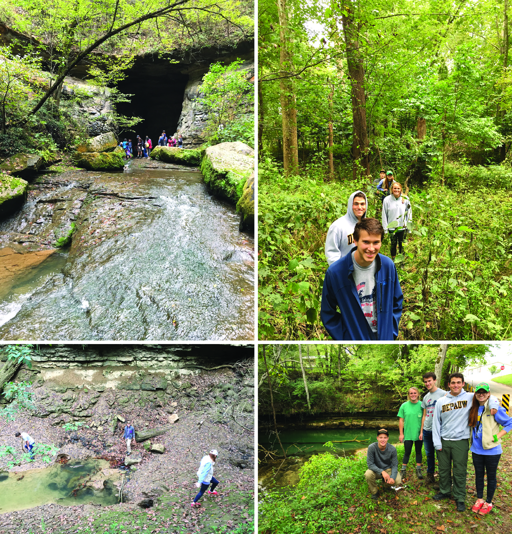 Collage of four photos from the Lost River Karst field trip
