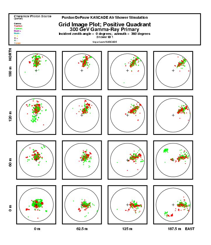 Shower 1 Grid Plot:  Positive Quadrant report