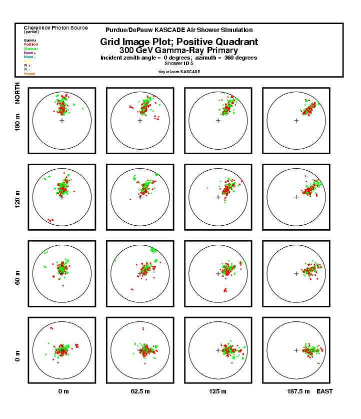 Shower 5 Grid Plot:  Positive Quadrant report