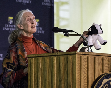Jane Goodall lecturing with a prop cow