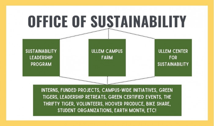Sustainability Leadership Program diagram