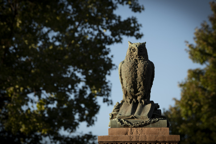 Owl sculpture on campus