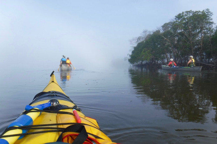 Paddling Florida's everglades