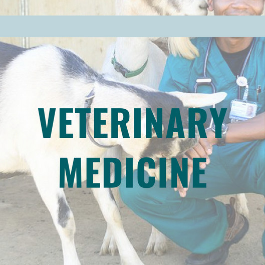 Veterinary Medicine