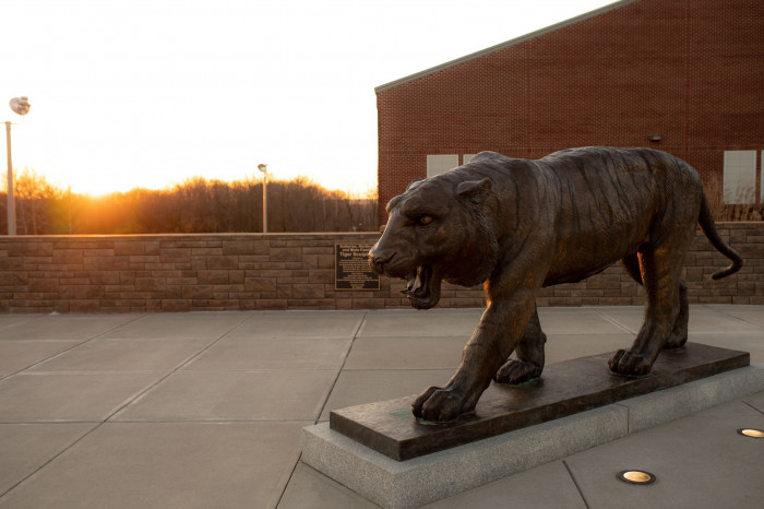 Tiger statue