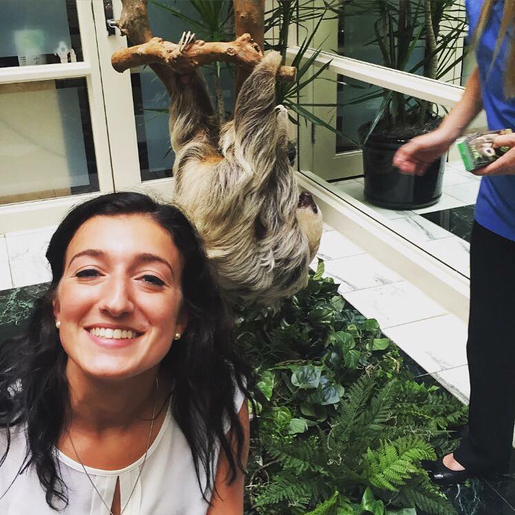 Madeline with a sloth