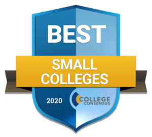 Small college badge