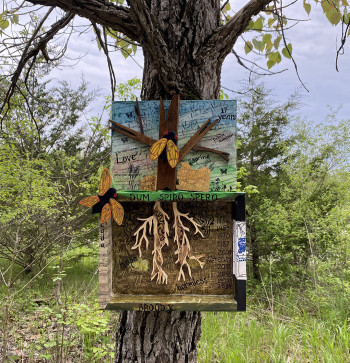 crafted shadow box of tree, cicadas and roots