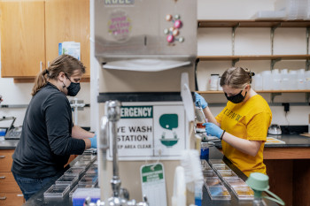 Students conducting research in a lab during summer