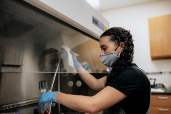 Student conducting research in a lab during summer
