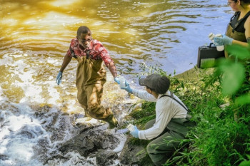 Students in a stream during a project