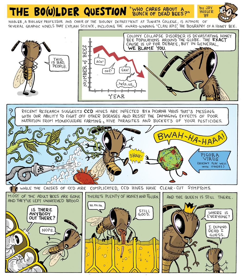 Page 1 of Jay Hosler's bee comic