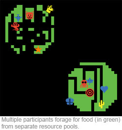 Graphic depicting multiple participants foraging for food from separate resource pools