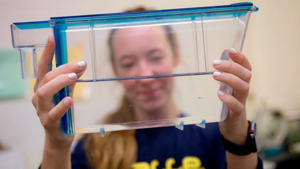 Drew Harris holds a tank with a juvenile zebrafish.