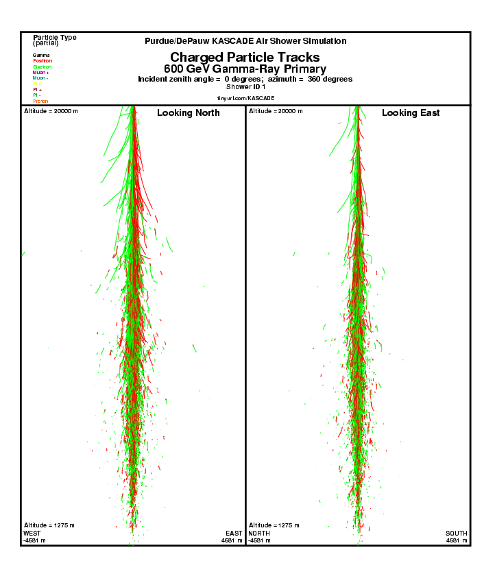 Shower 1 Charged Particle Tracks report