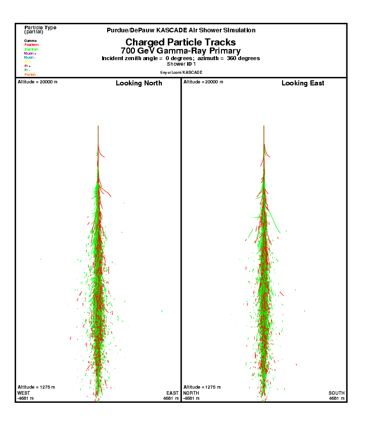 Charged Particle Tracks report