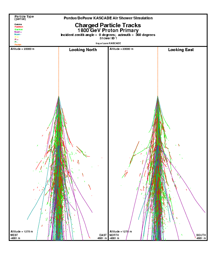 Shower 1 Charged particle Tracks report