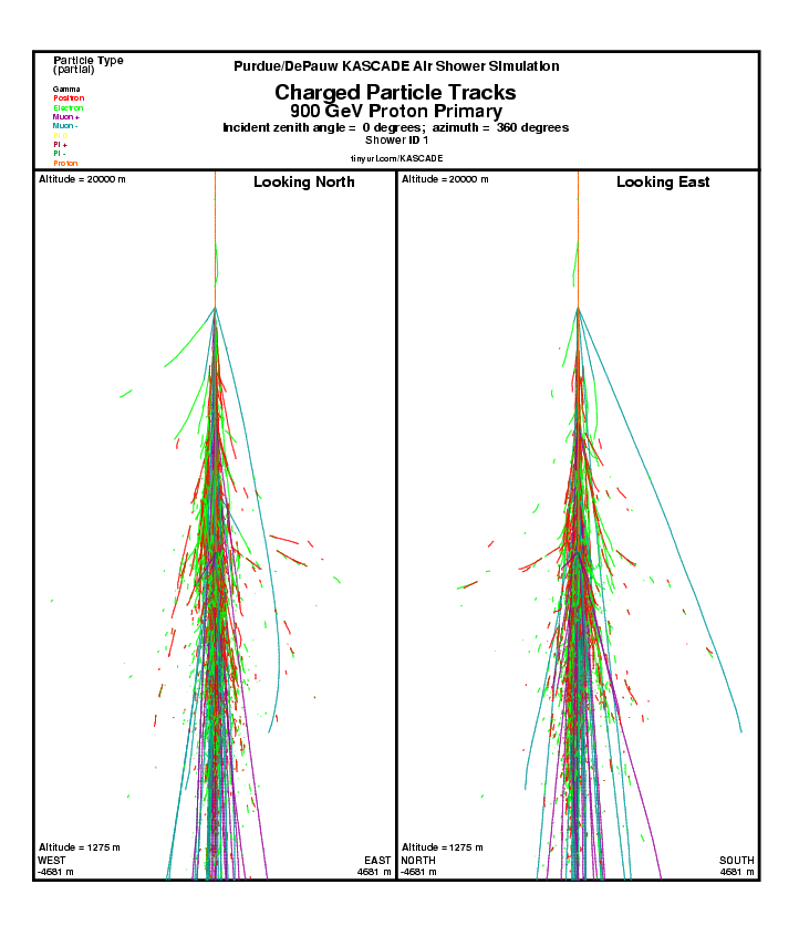 Shower 1 Charged particle Tracks report