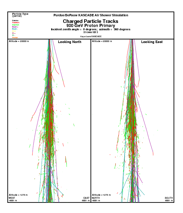 Shower 3 Charged particle Tracks report