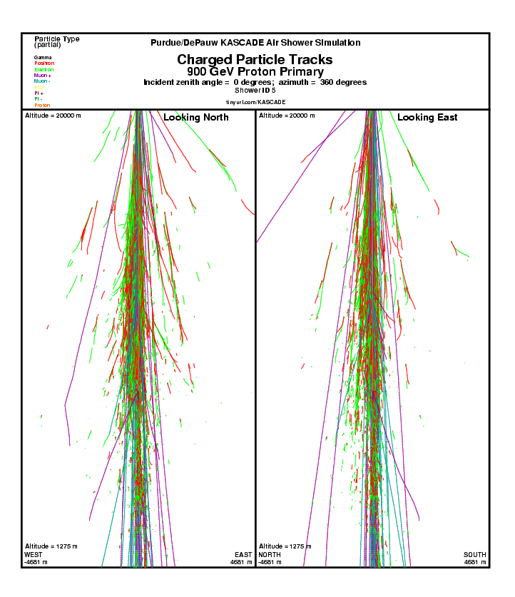 Shower 5 Charged particle Tracks report