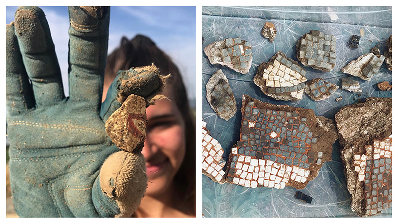 Some of the mosaic tiles found buried at the dig site.