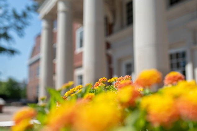 flowers in foreground with a building with columns in background