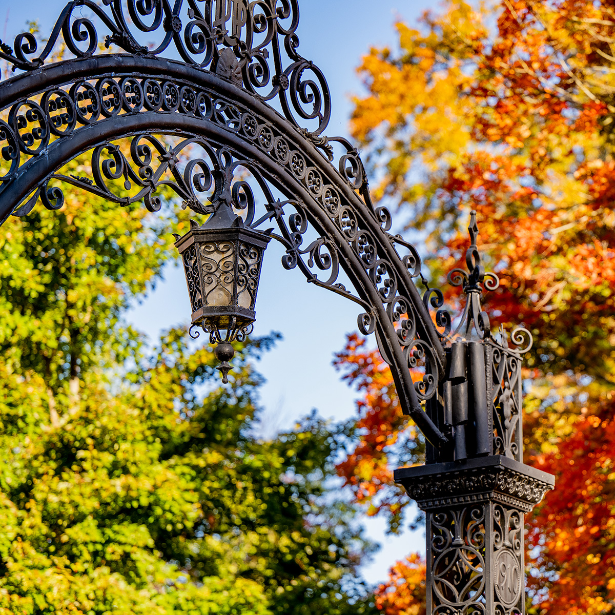 The gates in autumn