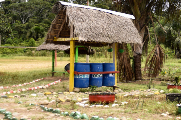 Hut with palm tree in the background