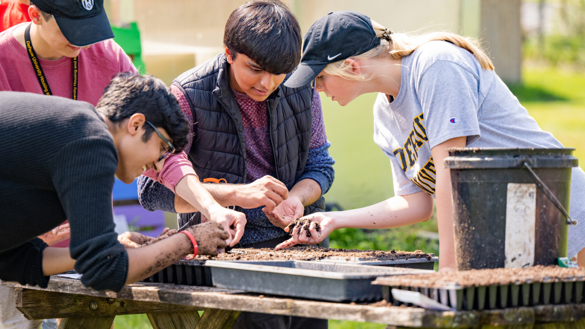 First-year seminar focuses on sustainability through critical thought and collaboration