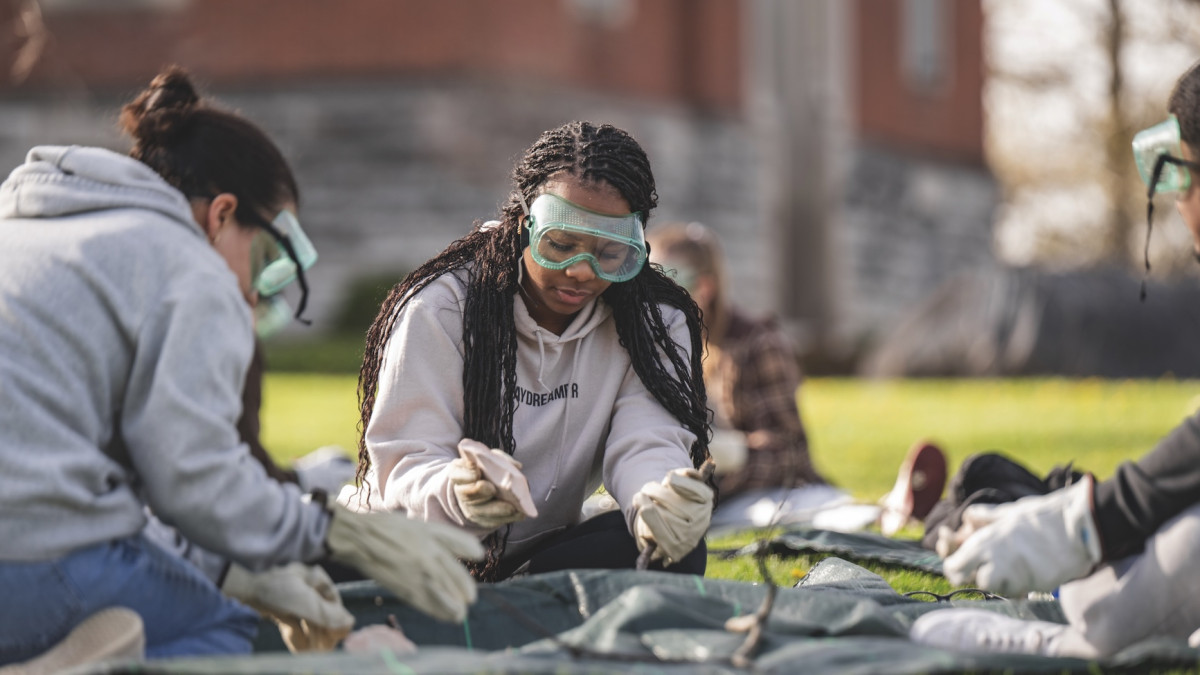The Tree of Learning