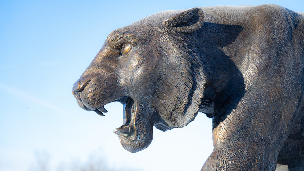 Alumni News Roundup - February 3, 2025