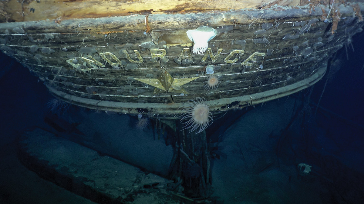 Credit Falklands Maritime Heritage Trust and National Geographic Caption - The stern of the Endurance with the name and emblematic polestar